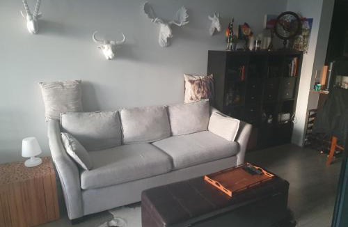 Trinity - Bellwoods House | Trendy Queen West Area FIFA rental