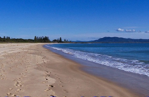 Arakoon Apartment | Trial Bay Beach Cabin 2