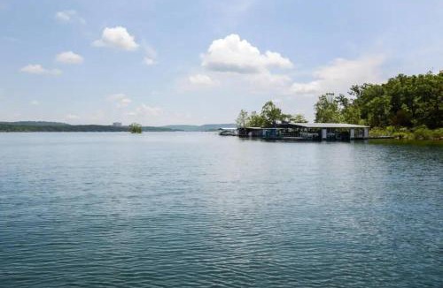 Indian Point Ski Chalet | Tribesman #3 - Merlins Beard - on Table Rock Lake