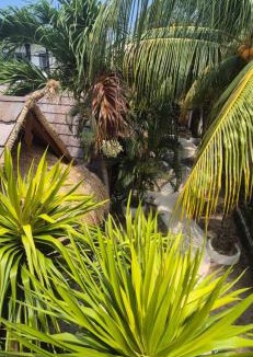Gili Air Resort | Tricky Trees Sunset Bungalows
