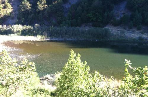 Willow Creek House | Trinity River Retreat