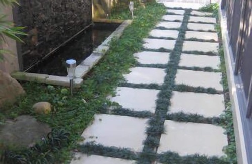 Balgowlah Heights Apartment | Triple Size Loft + Private Ensuite & Breakfast