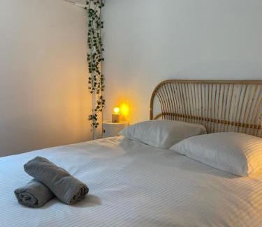 Bourges Apartment | Triplex - 4 chambres - Centre historique