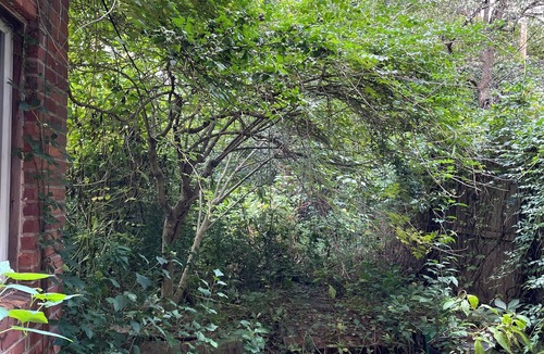 Boerum Hill House | triplex townhouse apartment, brownstone Brooklyn