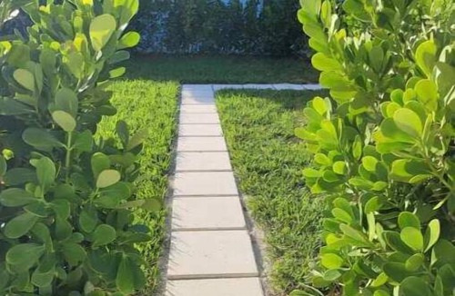 East Central Boulevard Apartment | Tropical Breezes - Walk to the Beach