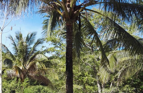 Pantai Tengah RV Rental | Tropical Eco Camping