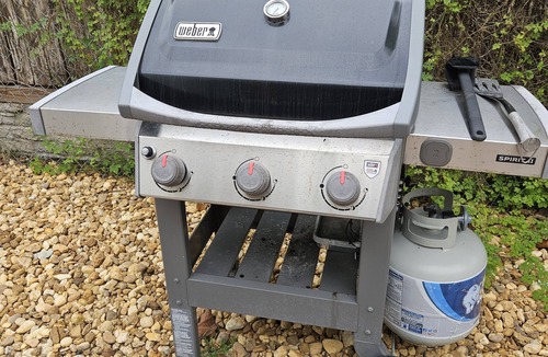 Riviera Estates House | Tropical Home! 3 bed/2 bath Oasis with Pool!