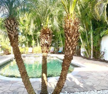 Bradenton House | Tropical Oasis 10th