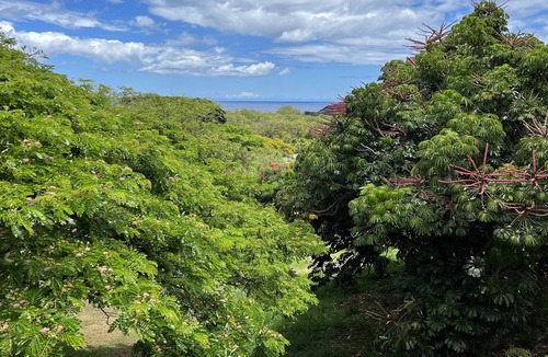 Makaha Valley Condo | Tropical Ocean View Retreat