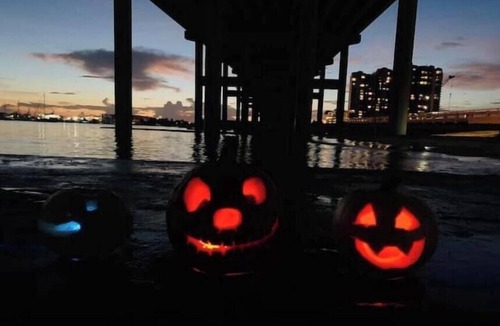 Hunt Club House | Tropical Paradise nHeated pool by request