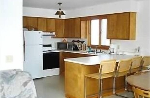 Wolcott Cottage | Tropical Paradise in NY Palm Trees,