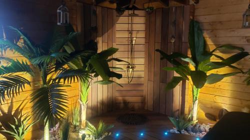 Provin House | Tropical Spa