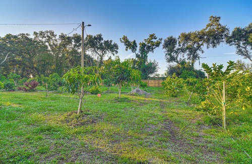 Greater Palm River Point CDC Cottage | Tropical Tampa Home: Pets Welcome!