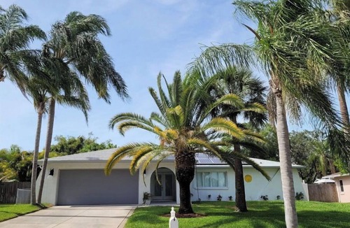 Palm Harbor House | ☀ Tropical Vacation Home w/HEATED POOL ☀