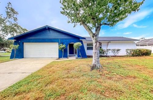 Dunedin House | Tropical Vibe