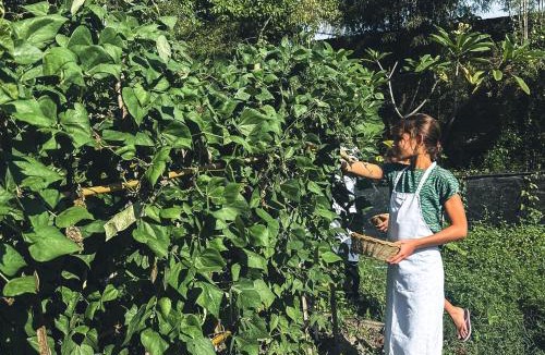 Selong Belanak Resort | Tropik Resort Lombok