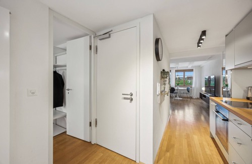 Vorstadte Apartment | True Basel - Stylish I Central I Rhine view