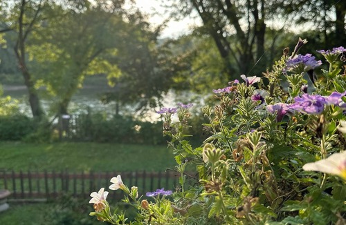 Holcomb House | True River Frontage nPrivate grounds 3-bedroom housenEnjoy a relaxing stay