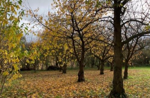 Sittingbourne House | Truly Kentish Holiday Lets