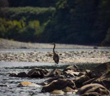 Gold Beach Hotel | Tu Tu'Tun Lodge