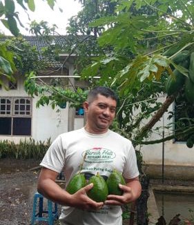 Sei Pinang Other | Tuan Ji