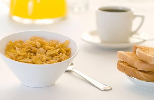 Rathdowney Cottage | Tuckeroo Cottages & Gardens