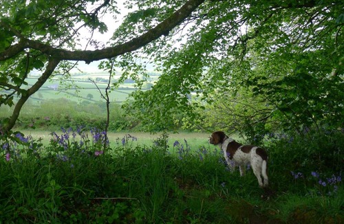 Saint Ann's Chapel House | Tuell Farm Cottages