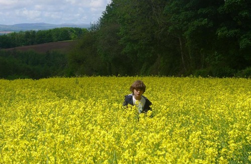 Saint Ann's Chapel House | Tuell Farm Cottages