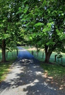 Cambridge Bed & Breakfast | Tui Glade Bed and Breakfast