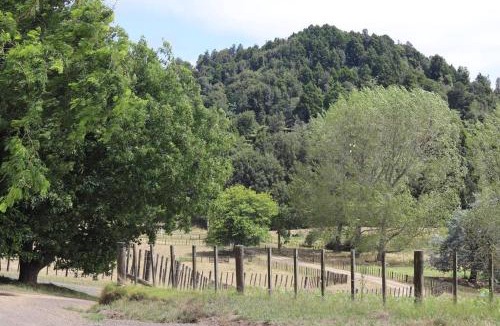 Waikato District House | Tui Ridge Cottage