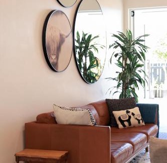 Northcote Apartment | Tuis Nest Auckland NZ