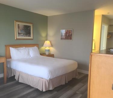 Mount Vernon Hotel | Tulip Inn Mount Vernon