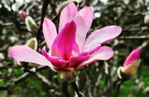 Durham Lead Cabin | Tullaburra Tiny Home Farmstay