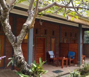 Anturan House | Tunjung guest house lovina beach