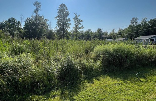 Lake Erie Beach Cottage | Turquoise by the lake