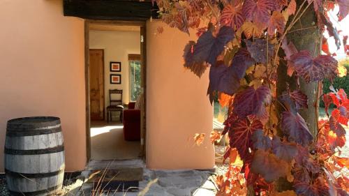 Lake Hayes House | Tussock Cottage