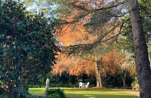 North Tamborine Cottage | Twilight Cottage at Avalon Gardens