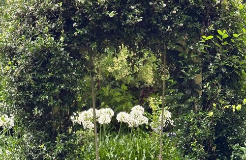 North Tamborine Cottage | Twilight Cottage at Avalon Gardens