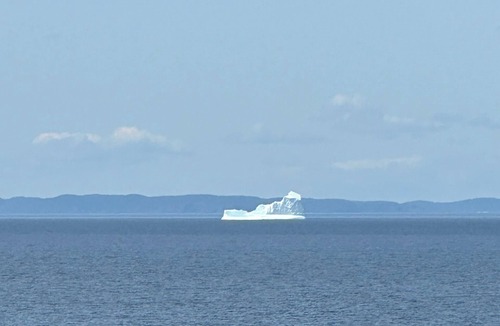 Crow Head House | Twillingate Coastal Retreat w/Oceanview Rooftop Deck (Icebergs,Whales,Sunsets)