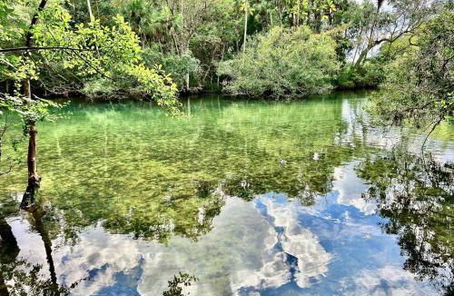 Crystal River House | Twin Heron Hideaway on Ozello Trail on a deep water canal, hot tub, kayaks, firepit, sleeps 6.