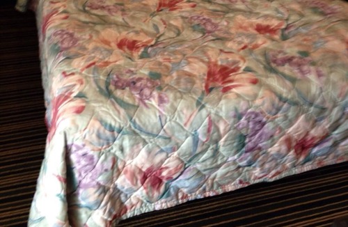 Berlin Hotel | Twin Spruce Motel