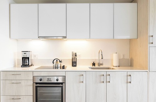 West Fens Apartment | Two-Bed, Two-Bath Apartment In the Fenway District