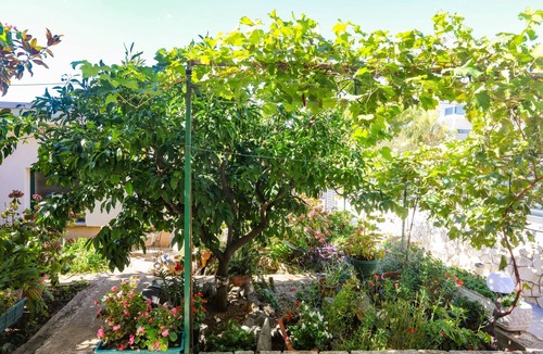 Zaboric Apartment | Two bedroom apartment near beach Žaborić, Šibenik (A-958-b)