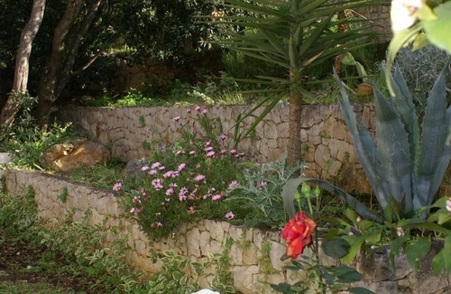 Zrnovo Apartment | Two bedroom apartment with terrace Žrnovska Banja (Korčula) (A-3154-b)