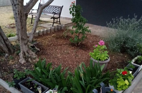 Kraj Apartment | Two bedroom apartment with terrace Kraj, Pašman (A-8213-a)