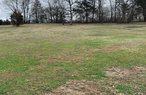 Hendersonville Apartment | Two Bedroom Two Bath duplex apartment on quiet 1 1/3 quiet acres. See the deer!