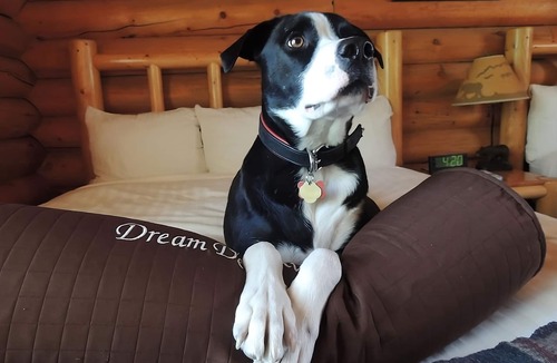 Moran Hotel | Two Convenient Accommodations, Just Minutes Away from Exciting Attractions!