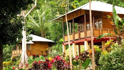 Pulau Lembeh Hotel | Two Fish Resort Lembeh