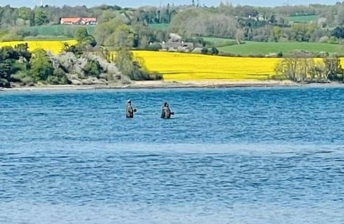 Hornslet Apartment | Two-Room Coastal Escape – Modern Coastal Stay with a Peaceful Atmosphere