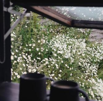 Old Radnor Apartment | Two unique cabins wrapped in beautiful welsh scenery